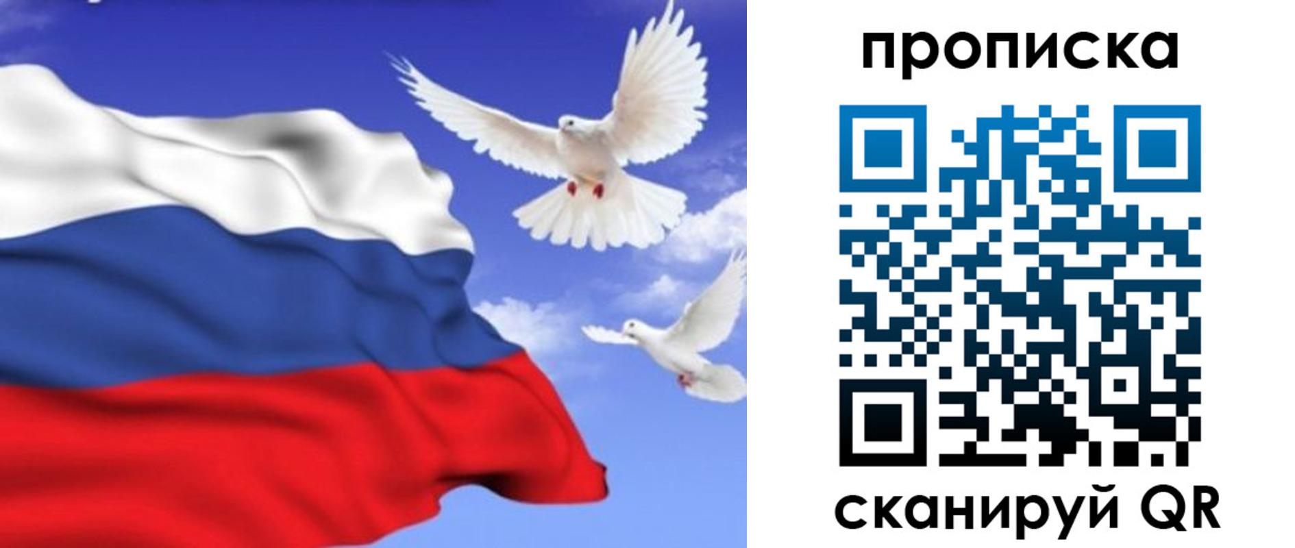 временная регистрация гарантия в Красном Куте